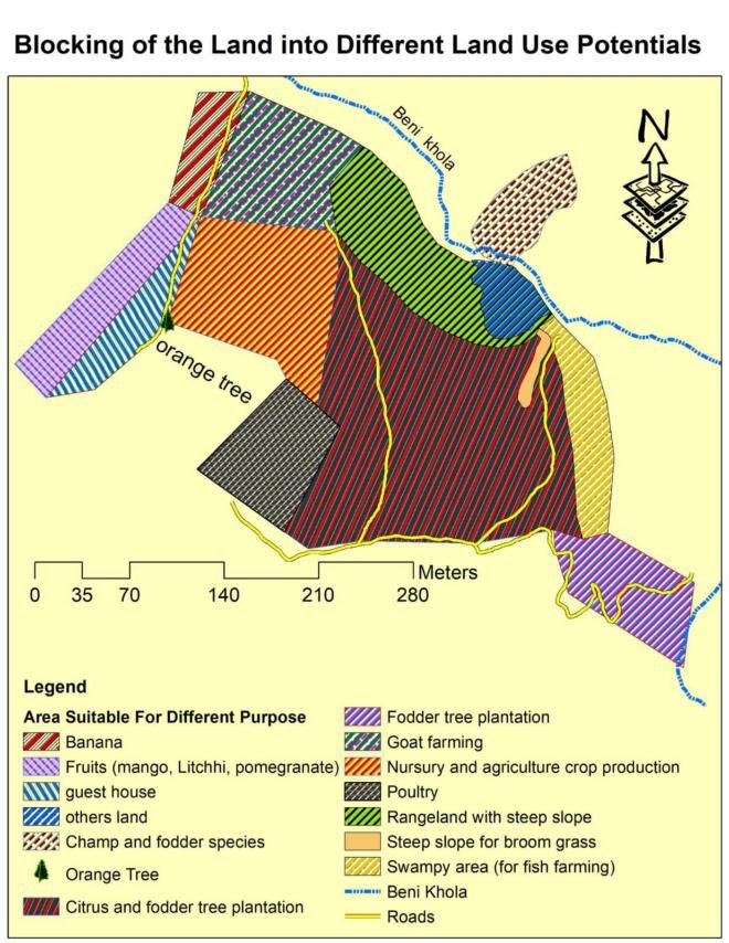 Gorkha Silver Dollar Plant Farming